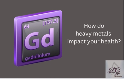 Gadolinium: How It Can Affect Your Body&#039;s Cells and Organs