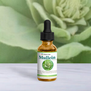 Wildcrafted Mullein Tincture