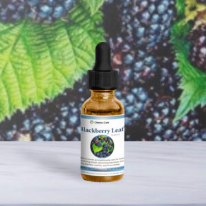 Wildcrafted Blackberry Leaf Tincture