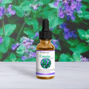 Wildcrafted Catnip Tincture