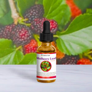 Wildcrafted mulberry leaf tincture in amber glass for blood sugar and inflammation support
