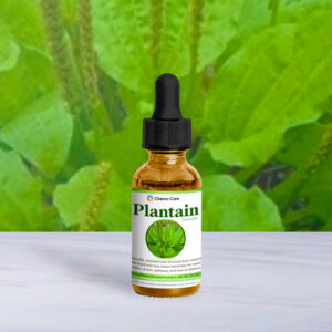 2 oz wildcrafted plantain tincture in amber dropper bottle for tissue repair and inflammation