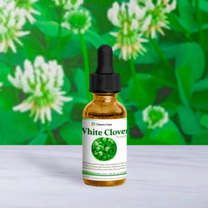 2 oz wildcrafted White Clover tincture in amber bottle for lymphatic drainage and hormone detox