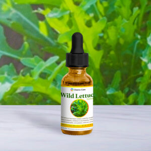 2 oz wildcrafted Wild Lettuce tincture in amber bottle for nerve pain and sleep support
