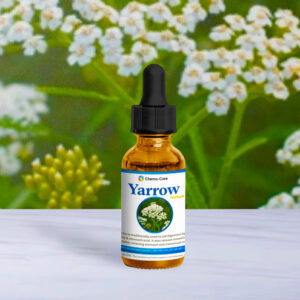 2 oz wildcrafted Yarrow tincture in amber bottle for wound care, hormone balance, and fever relief
