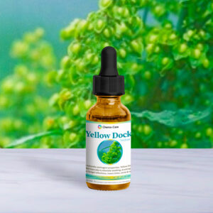 2 oz wildcrafted Yellow Dock tincture in amber bottle for liver, iron, and skin support