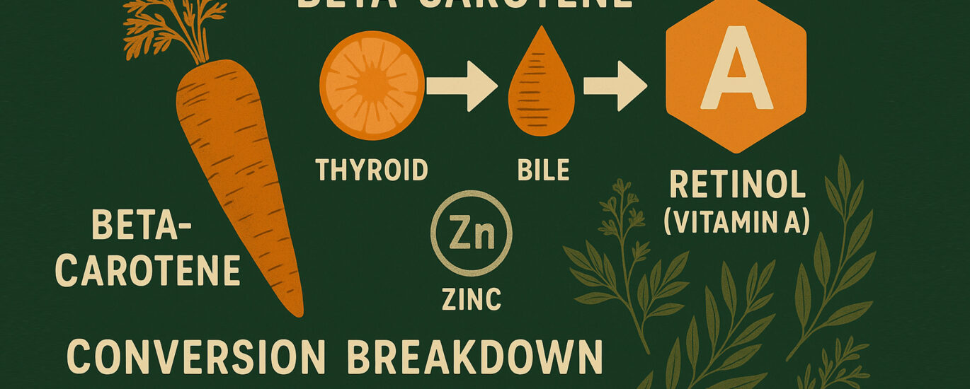 A visual representation of the beta-carotene to retinol conversion pathway, featuring a carrot, thyroid symbol, bile droplet, and zinc (Zn) icon leading to a retinol molecule. Natural botanical elements surround the cycle, illustrating terrain-based challenges to nutrient activation in a muted, earthy green color scheme.